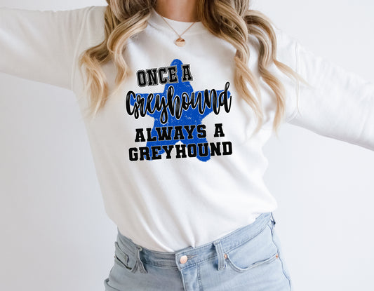 Once A Greyhound Always A Greyhound